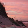 Dune Sunset
