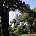 a path to the tower