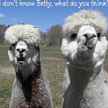 Betty what do you think