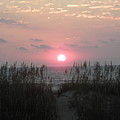 Dune Rise